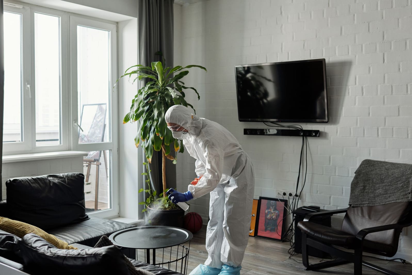 A pest-control technician spot-treating the baseboard behind a sofa in a New York apartment
